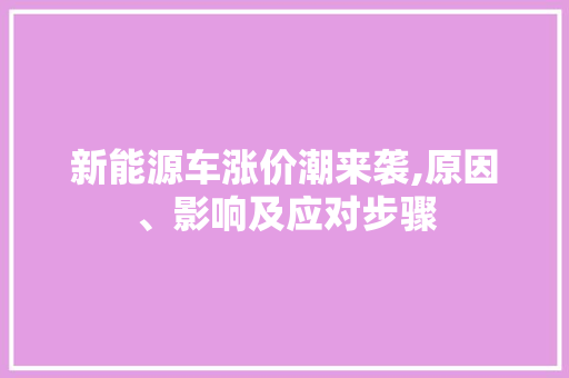 新能源车涨价潮来袭,原因、影响及应对步骤