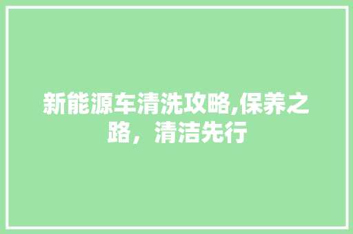 新能源车清洗攻略,保养之路，清洁先行