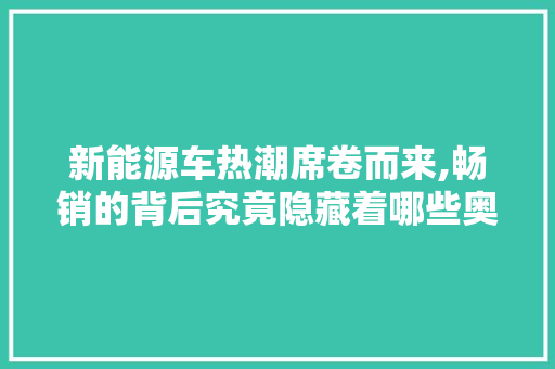 新能源车热潮席卷而来,畅销的背后究竟隐藏着哪些奥秘
