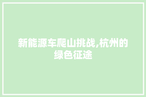 新能源车爬山挑战,杭州的绿色征途