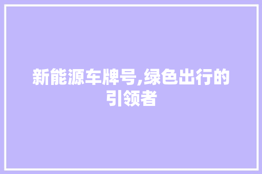 新能源车牌号,绿色出行的引领者