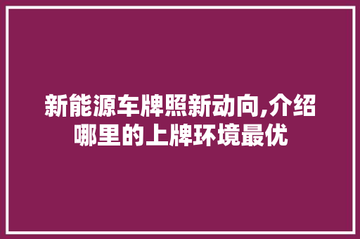 新能源车牌照新动向,介绍哪里的上牌环境最优