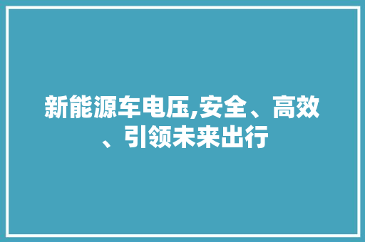 新能源车电压,安全、高效、引领未来出行