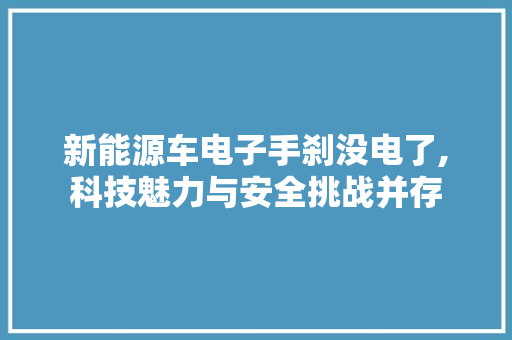 新能源车电子手刹没电了,科技魅力与安全挑战并存 新能源汽车