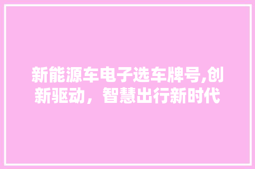 新能源车电子选车牌号,创新驱动，智慧出行新时代