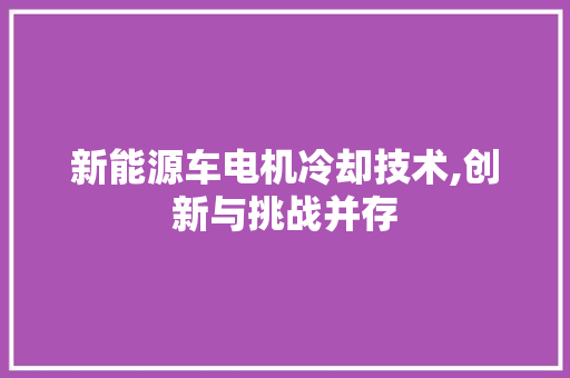 新能源车电机冷却技术,创新与挑战并存
