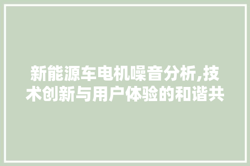 新能源车电机噪音分析,技术创新与用户体验的和谐共融 自动驾驶