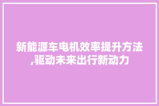 新能源车电机效率提升方法,驱动未来出行新动力