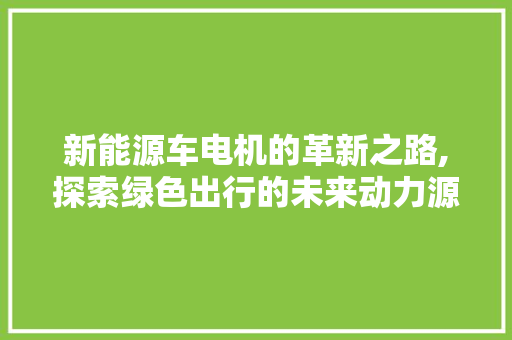 新能源车电机的革新之路,探索绿色出行的未来动力源泉