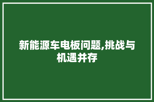 新能源车电板问题,挑战与机遇并存 混合动力车