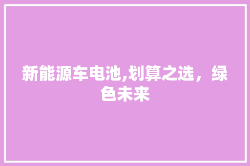 新能源车电池,划算之选，绿色未来