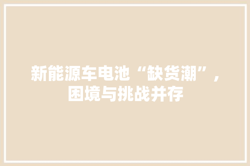 新能源车电池“缺货潮”,困境与挑战并存