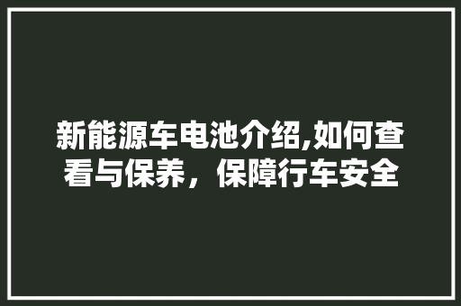 新能源车电池介绍,如何查看与保养，保障行车安全