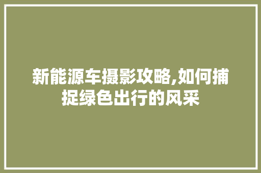 新能源车摄影攻略,如何捕捉绿色出行的风采