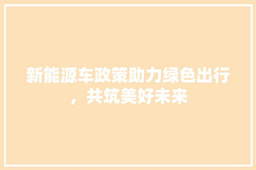 新能源车政策助力绿色出行，共筑美好未来