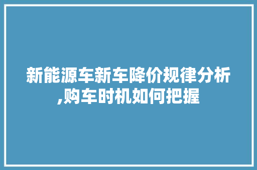 新能源车新车降价规律分析,购车时机如何把握 汽车保养