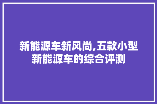 新能源车新风尚,五款小型新能源车的综合评测