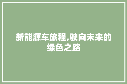 新能源车旅程,驶向未来的绿色之路