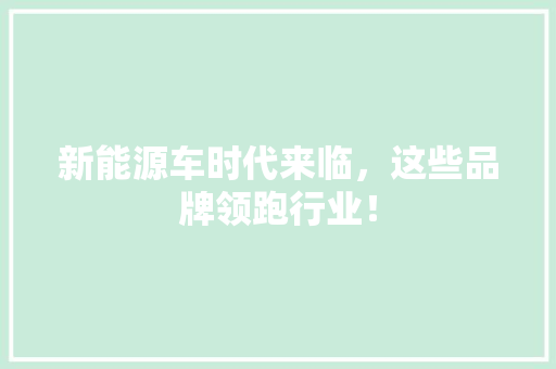 新能源车时代来临，这些品牌领跑行业！
