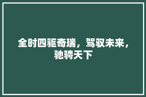 全时四驱奇瑞，驾驭未来，驰骋天下