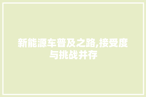 新能源车普及之路,接受度与挑战并存