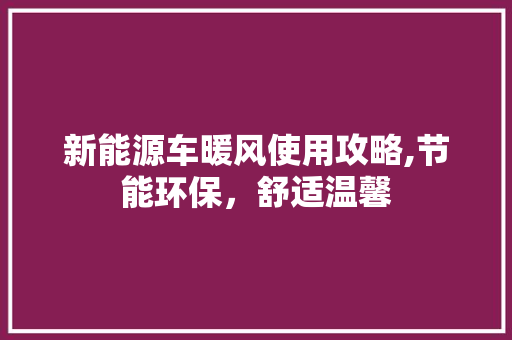 新能源车暖风使用攻略,节能环保，舒适温馨