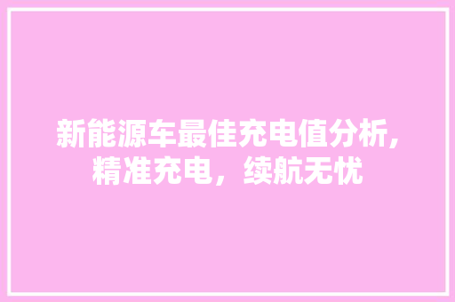 新能源车最佳充电值分析,精准充电，续航无忧
