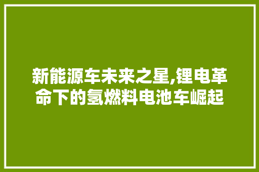 新能源车未来之星,锂电革命下的氢燃料电池车崛起