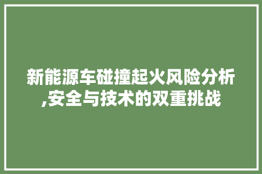 新能源车碰撞起火风险分析,安全与技术的双重挑战 车联网技术