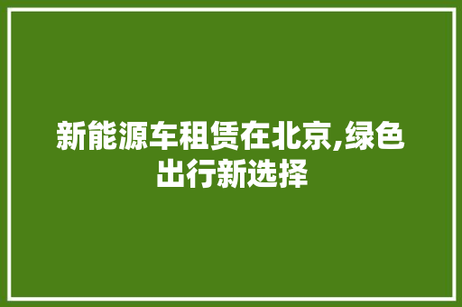 新能源车租赁在北京,绿色出行新选择