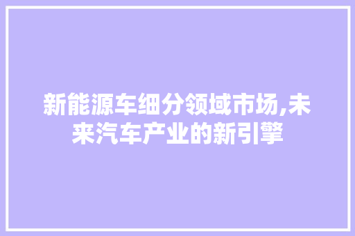 新能源车细分领域市场,未来汽车产业的新引擎