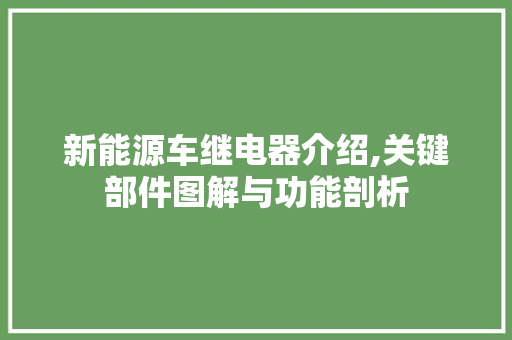 新能源车继电器介绍,关键部件图解与功能剖析