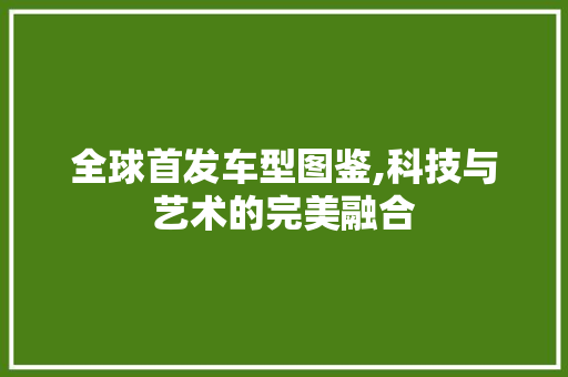 全球首发车型图鉴,科技与艺术的完美融合