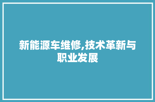 新能源车维修,技术革新与职业发展