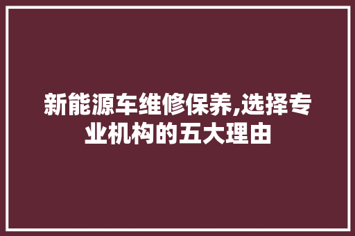 新能源车维修保养,选择专业机构的五大理由