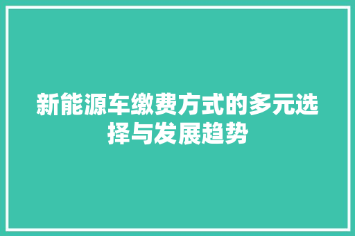 新能源车缴费方式的多元选择与发展趋势