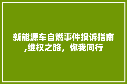 新能源车自燃事件投诉指南,维权之路，你我同行