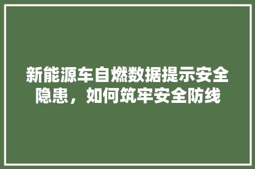 新能源车自燃数据提示安全隐患，如何筑牢安全防线