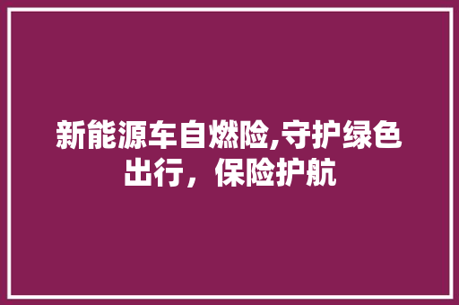 新能源车自燃险,守护绿色出行，保险护航