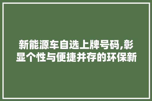 新能源车自选上牌号码,彰显个性与便捷并存的环保新风尚