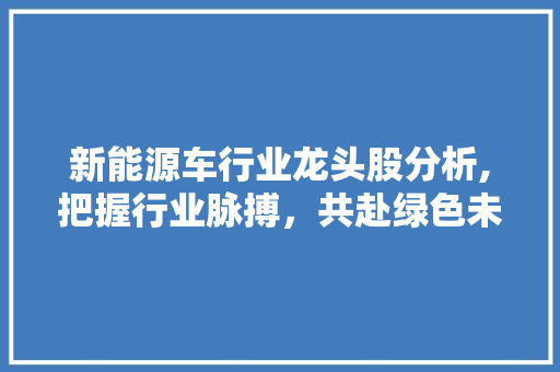新能源车行业龙头股分析,把握行业脉搏，共赴绿色未来