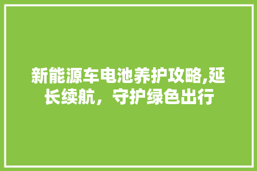 新能源车电池养护攻略,延长续航，守护绿色出行