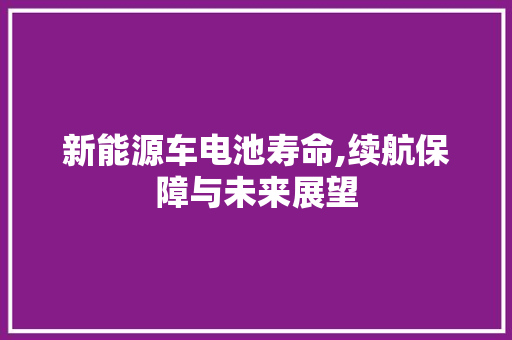新能源车电池寿命,续航保障与未来展望