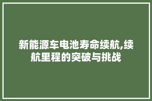 新能源车电池寿命续航,续航里程的突破与挑战