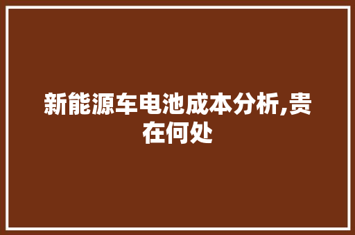 新能源车电池成本分析,贵在何处