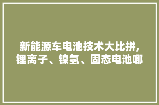 新能源车电池技术大比拼,锂离子、镍氢、固态电池哪家强