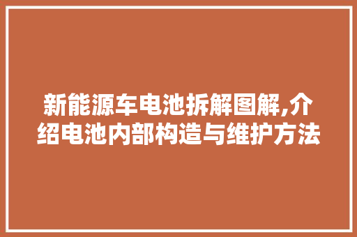 新能源车电池拆解图解,介绍电池内部构造与维护方法