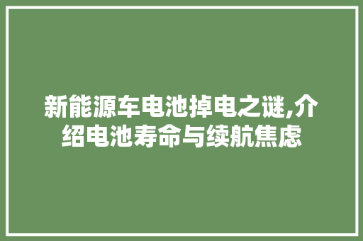新能源车电池掉电之谜,介绍电池寿命与续航焦虑