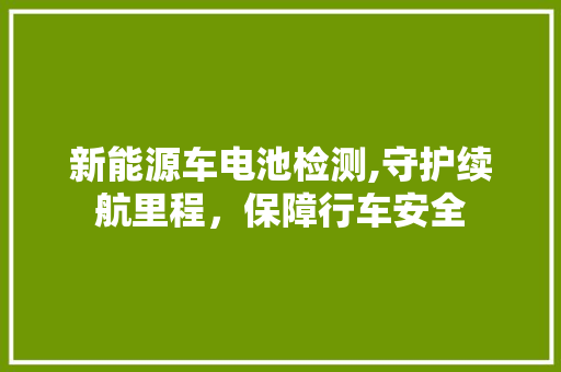 新能源车电池检测,守护续航里程，保障行车安全 车型评测
