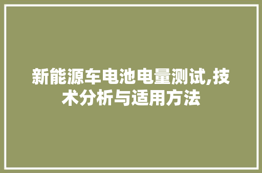 新能源车电池电量测试,技术分析与适用方法